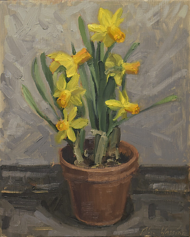 Narcissen in pot